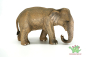 Preview: Schleich Asiatische Elefantenfamilie 14754 + 14753 + 14755